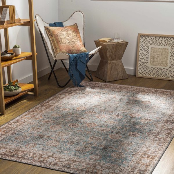 Brown Blue Dauis Vintage Washable Rug Cheap - Image 4