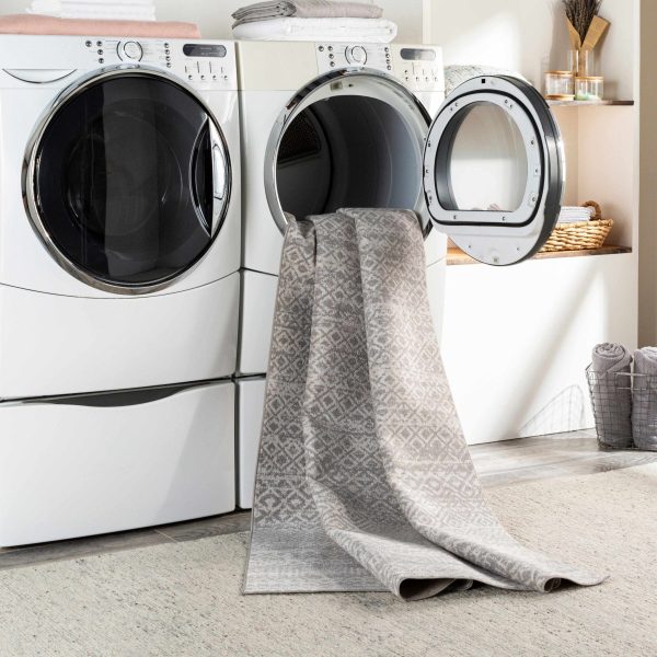 Gravelbourg Washable Area Rug For Sale - Image 3